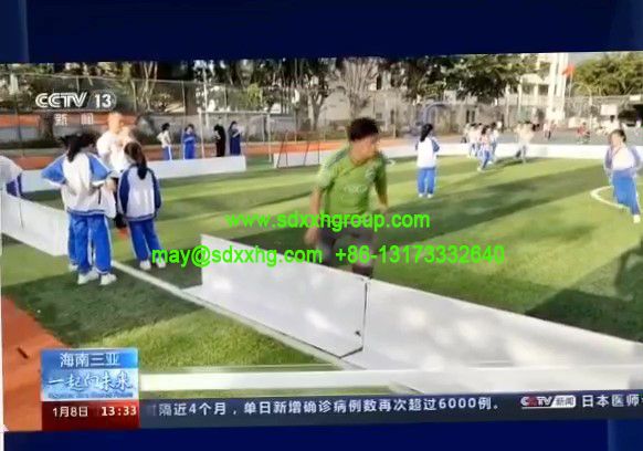 floorball rink boards